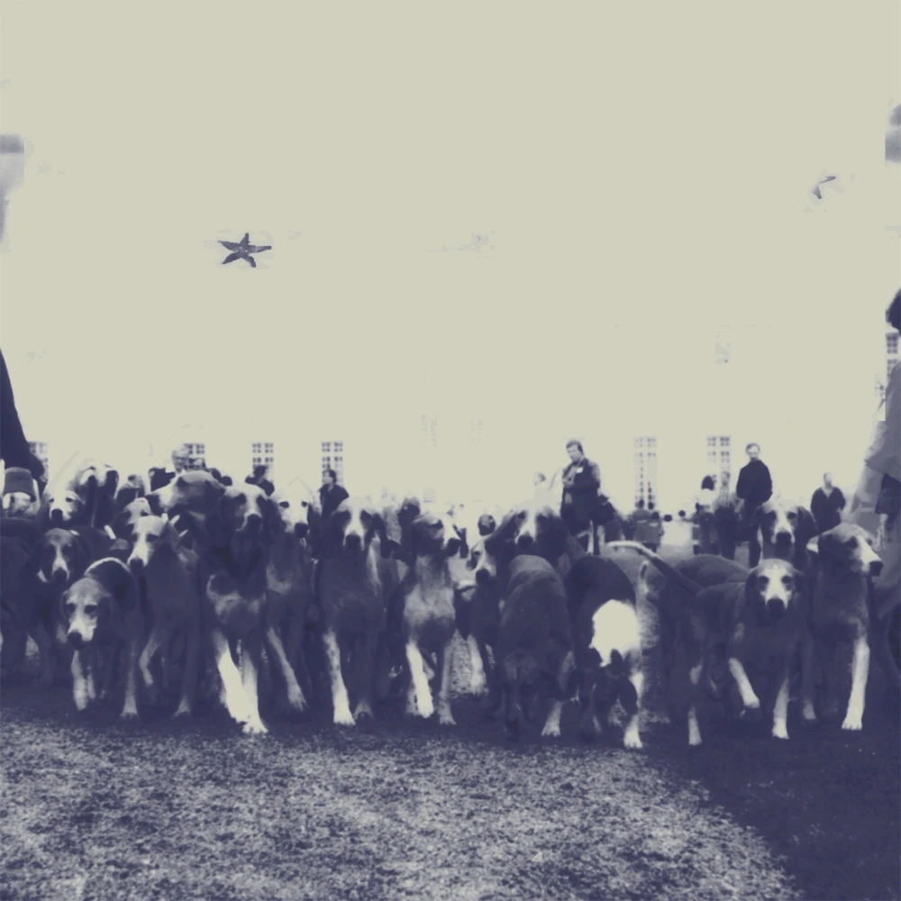 Swapmeet Ceiling Fan single cover - indie rock music