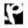 Primary Talent logo